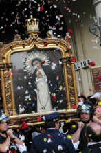 Imagen de Especial informativo: Día de la Virgen de la Paloma - 2