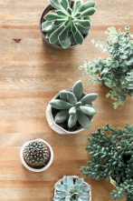 Imagen de Yo vivo en (T1): Una casa cueva - 2