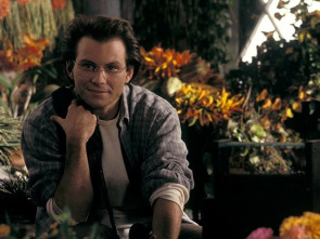 Imagen de Mil ramos de rosas - 1