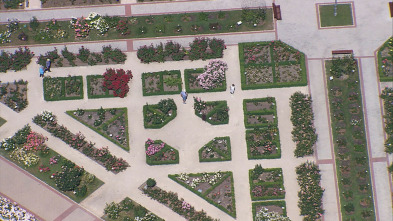 Imagen de Madrid desde el aire: Madrid y sus parques - 3