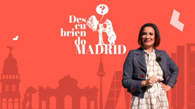 Imagen de Descubriendo Madrid - 3