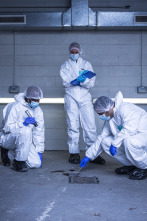 Imagen de El auténtico CSI  - 2