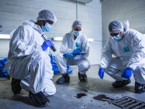 Imagen de El auténtico CSI  - 1