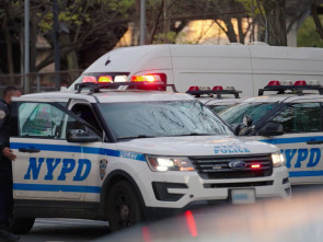 Crímenes en Nueva York: Una investigación internacional