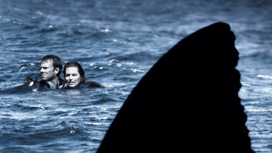 Imagen de Open Water: Inmersión extrema - 3