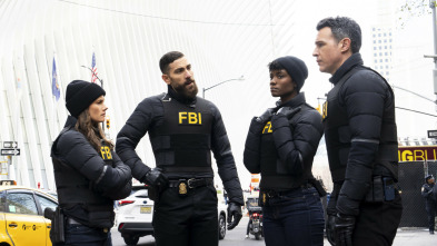 Imagen de FBI (T6) - 5
