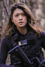 Imagen de Hawai 5.0 (T3) - 2