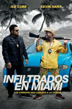 Imagen de Infiltrados en Miami - 6