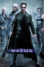 Imagen de Matrix - 10