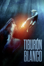 Imagen de Tiburón blanco - 2