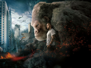 Imagen de Proyecto Rampage - 5