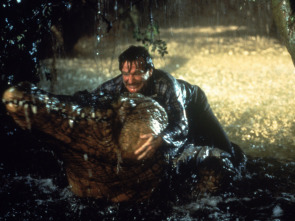 Imagen de Jumanji - 9