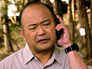 Imagen de Hawai 5.0 (T1): Ep.18 Loa Aloha (Un largo adiós) - 1