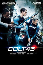 Imagen de Colt 45 - 2