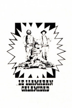 Imagen de Le llamaban Calamidad - 2