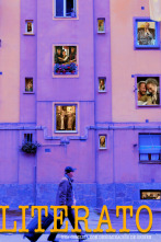Imagen de Literato - 2