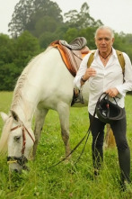 Imagen de Forjando historia - 2