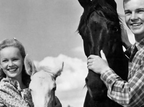 Imagen de Los verdes pastos de Wyoming - 1