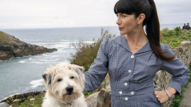 Imagen de Doc Martin (T9): Ep.2 Novetats i trasbals - 3