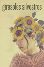 Imagen de Girasols silvestres - 2