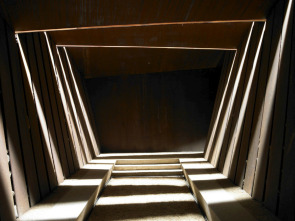 Imagen de Animals arquitectes (T1): RCR - 1