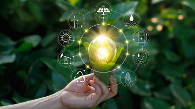 Imagen de Pistes vertes - 3