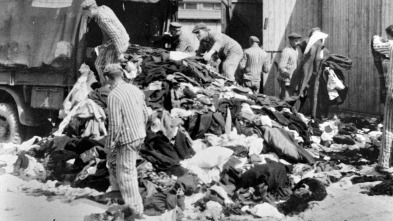 Imagen de Auschwitz, des survivants racontent - 3