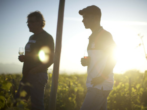 Wine Calling, le vin se lève!