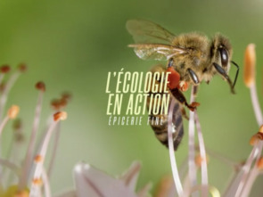 L'écologie en action