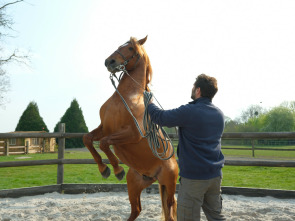 Imagen de Tempête - 1