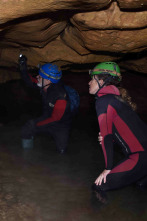 Imagen de A cavall dels temps - 2