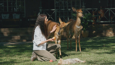 Imagen de Dra. Fabiola Jones (T1) - 3