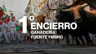 Imagen de Vive San Fermín (T2026): Ep.2 - 15