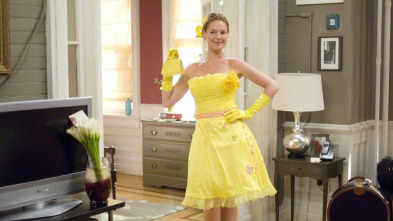 Imagen de 27 vestidos - 3