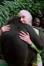 Imagen de Increíble 2025 - 2