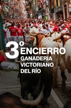 Imagen de Vive San Fermín (T2026): Ep.4 - 4