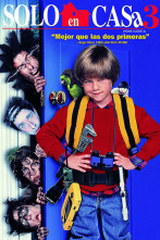 Imagen de Solo en casa 3 - 2