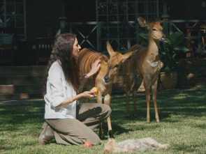 Imagen de Dra. Fabiola Jones (T1) - 1