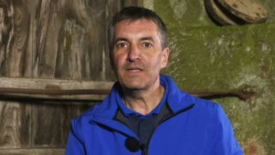 Imagen de Polo Rego - 3