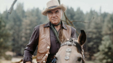 Imagen de Bonanza - 3