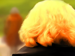 Imagen de Señora de... - 1