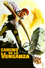 Imagen de Camiño da vinganza - 2