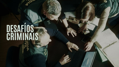 Imagen de Desafíos criminais - 3