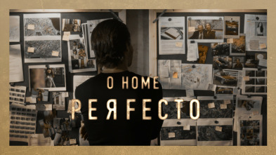 Imagen de O home perfecto - 1