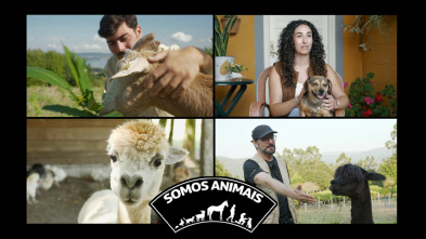 Imagen de Somos animais - 3