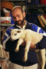 Imagen de Era visto! - 2