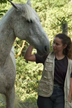 Imagen de Somos animais - 2