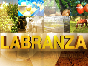 Imagen de Labranza - 1