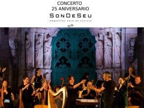 Imagen de Concerto do XXV aniversario de SonDeSeu - 1