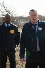 Imagen de Blue Bloods... (T6): Ep.20 Adentrándose en lo desconocido - 2
